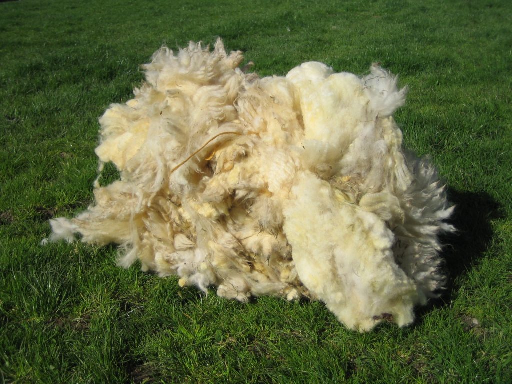 Rohwolle Des Schafes Rtsel